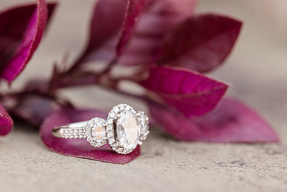 HarrisRainwater_Engagement-119