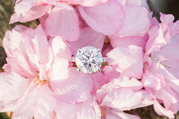 MoulasSchneider_Engagement-87
