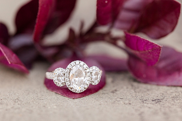 HarrisRainwater_Engagement-116