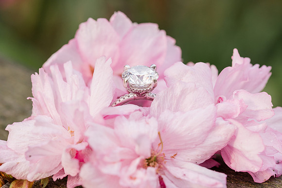 MoulasSchneider_Engagement-90