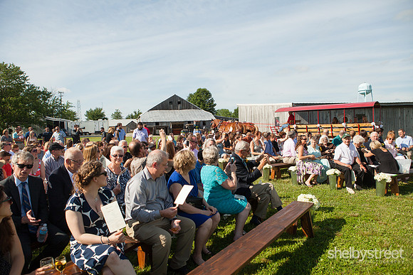 verschoor_wed-134