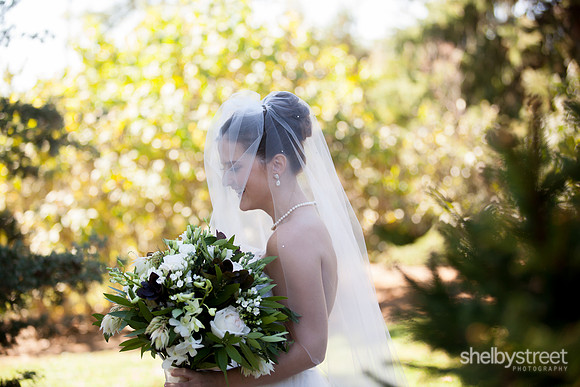 schreiner_wed-313