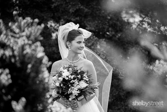 schreiner_wed-310