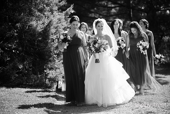 schreiner_wed-305