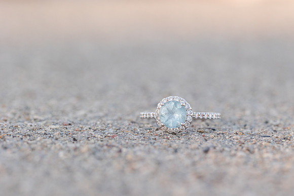 LavenderHawk_Engagement-109