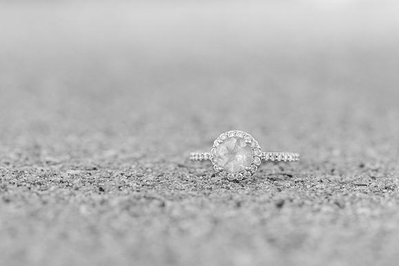 LavenderHawk_Engagement-110