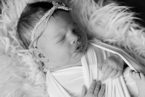 Bell_Newborn-108