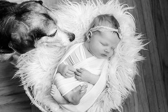 Bell_Newborn-122