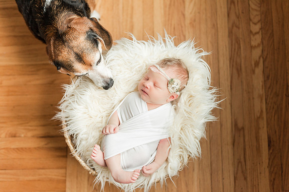 Bell_Newborn-125
