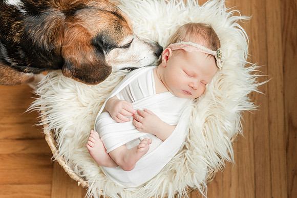 Bell_Newborn-121