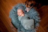 bell_newborn (20 of 172)