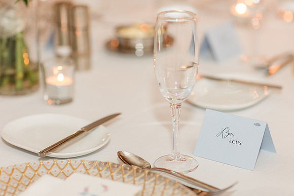 WellensAcus_WeddingFaves-416