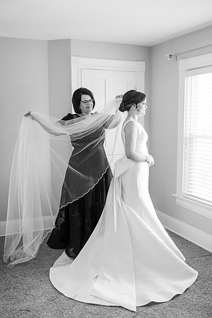 TerekWebb_Wedding-209