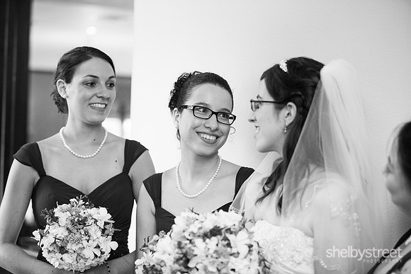 darienzo_wed-232