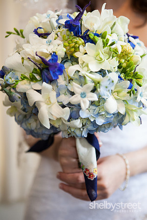 darienzo_wed-51
