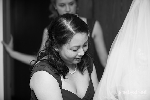 darienzo_wed-18