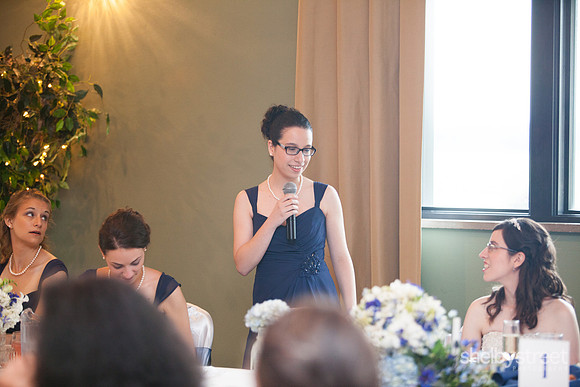 darienzo_wed-338