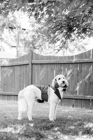 Pan+Weber_Wedding-68