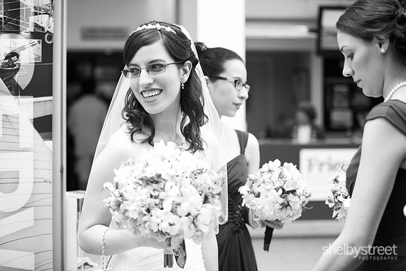 darienzo_wed-138