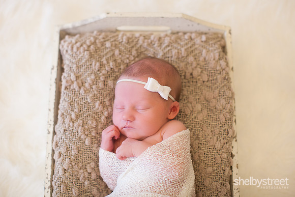 clayton_newborn-16