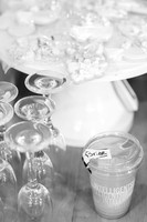 Harris+Rainwater_WeddingBW-12