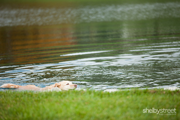 cincinnati_wedding_photographer-26
