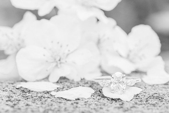 Beach+Cheek_EngagementSession-132