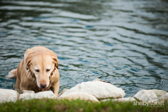 cincinnati_wedding_photographer-27