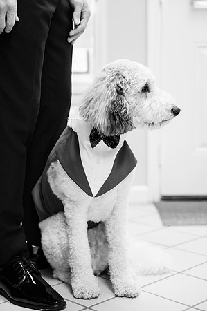 Pan+Weber_WeddingFaves-4