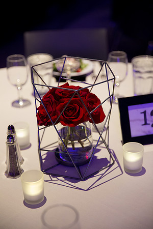 frey_wed-499