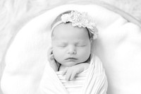 HalleBell_SneakPeek-19