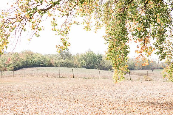 BurgerWhisler_Wedding-35