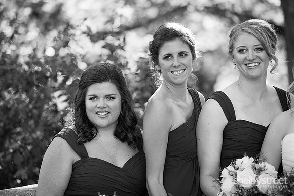 seibert_wed-382