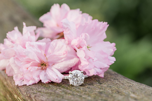 MoulasSchneider_Engagement-82