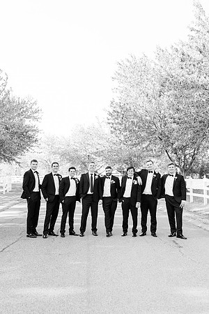 D'AnnaEglar_WeddingFaves-454