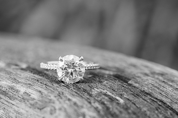 MoulasSchneider_Engagement-86