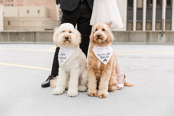 GardnerSmith_EngagementSession-5