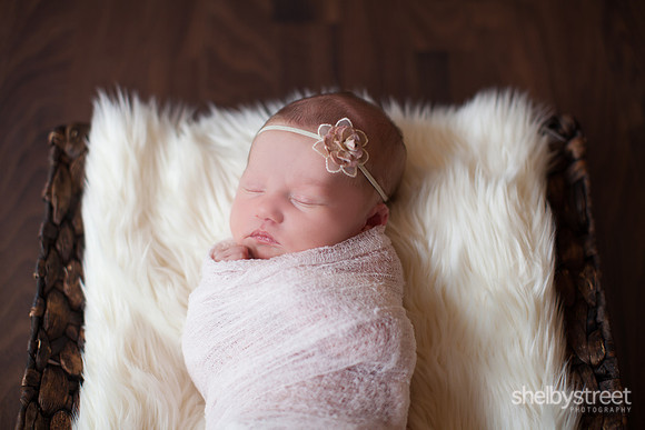 clayton_newborn-8