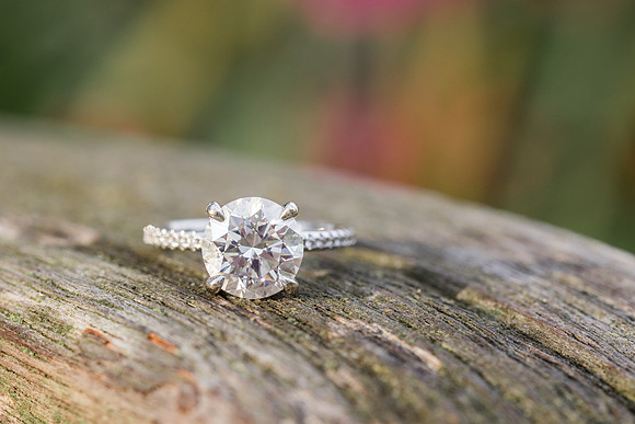 MoulasSchneider_Engagement-85