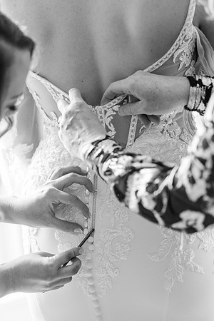 Loesing+Ferguson_Wedding-317