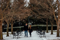 frey_eng-19