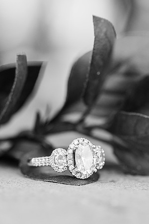 HarrisRainwater_Engagement-122