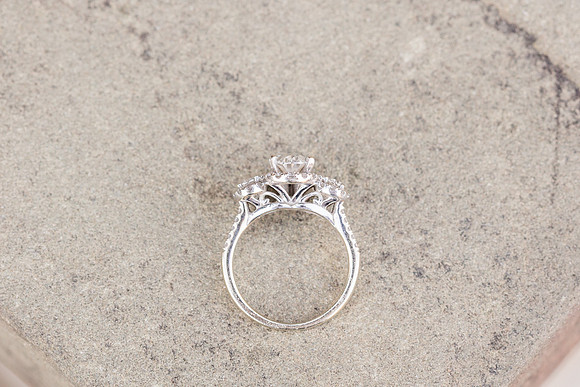 HarrisRainwater_Engagement-123