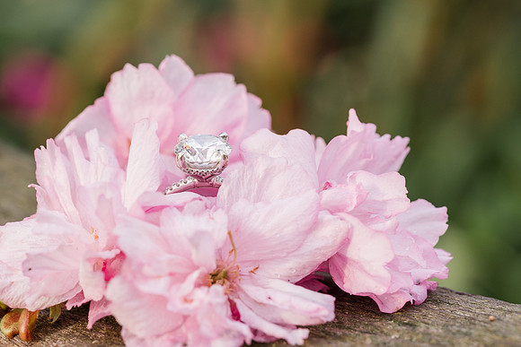 MoulasSchneider_Engagement-91