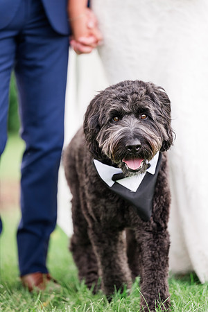 Boedker+Laskey_WeddingFaves-285