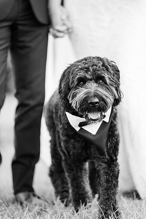 Boedker+Laskey_WeddingFaves-286