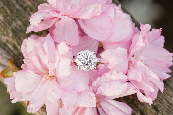 MoulasSchneider_Engagement-89