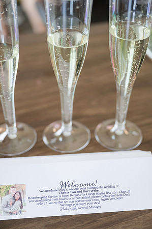 Pan+Weber_Wedding-247
