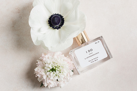 Sibbio+Sherrill_Wedding-281