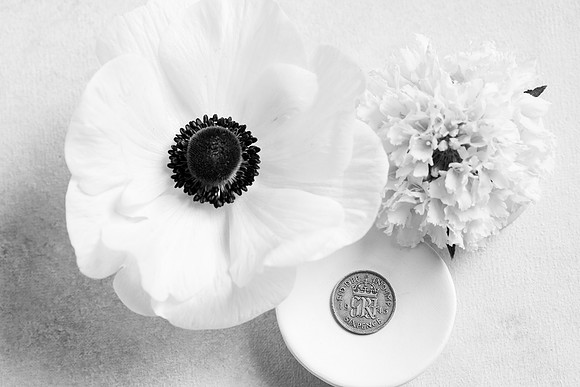 Sibbio+Sherrill_Wedding-271